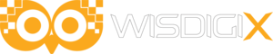 wisdigiX