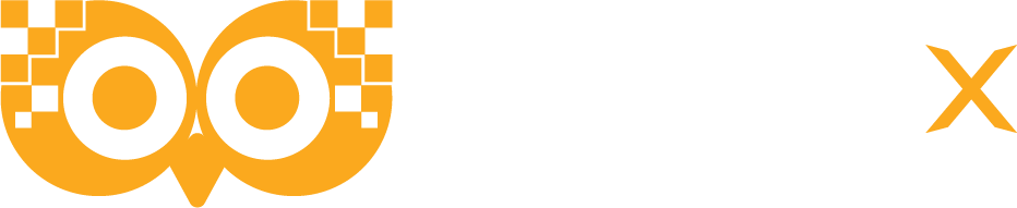 wisdigiX